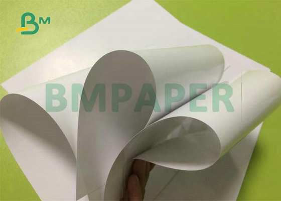 12PT 14PT 16PT High Glossy White Coated C2S Cover Sheet For Offset Printing 24 x 36inch