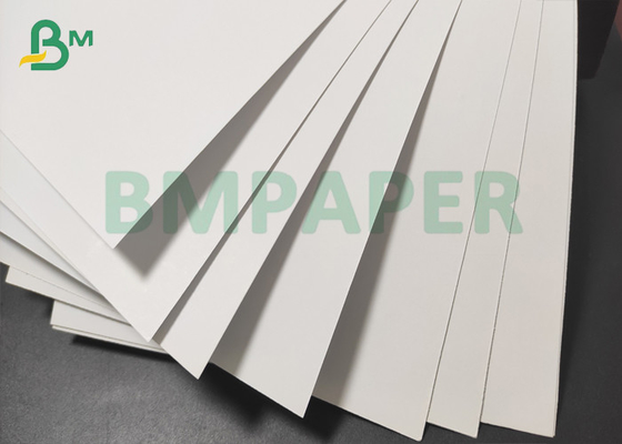 Brochure Printing Paper 12 Point C2S Cover White 23 X 29 Inch