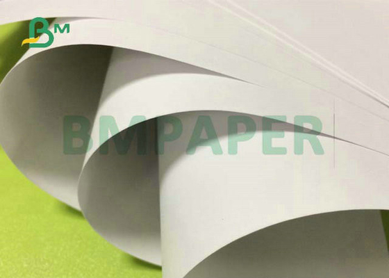 60gsm 70gsm Uncoated Woodfree Paper White Jumbo Rolls 330mm 440mm for Printing