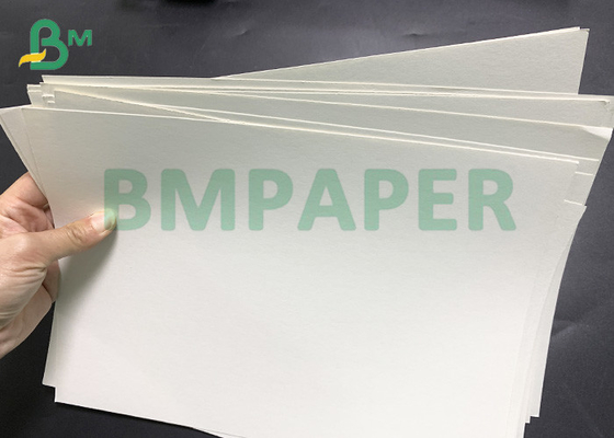 White PE Coated 135gsm - 350gsm Thick Food Grade Cup Stock Paper