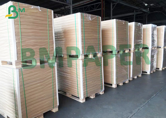 Polyester ( PET ) Double Sided Coated Matte Surface 150um Waterproof