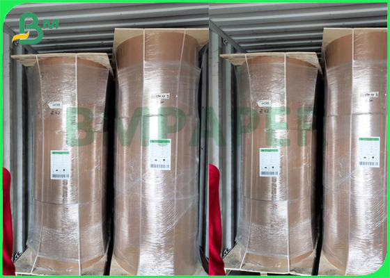 127gsm - 450gsm 100% Virgin Wood Pulp Moistureproof  Kraft Liner Paperboard