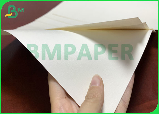 C1S C2S 135gsm - 350gsm PE Coated Cup Stock Paper For Coffee Cups