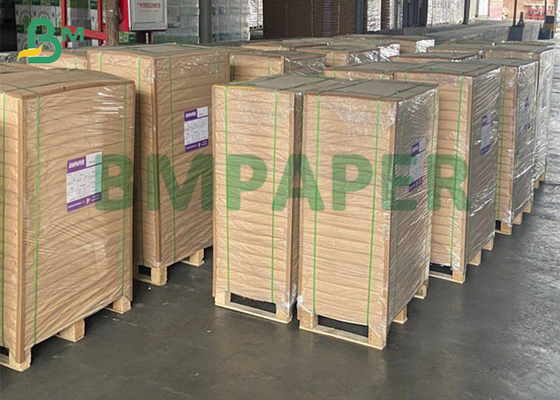 C1S C2S 135gsm - 350gsm PE Coated Cup Stock Paper For Coffee Cups