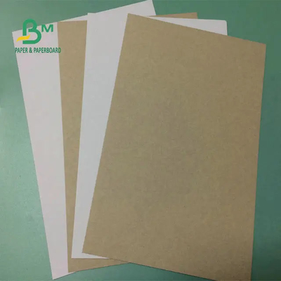 250gr 300gr 400gr Single Side Coated Claycoat duplex board For Package Box