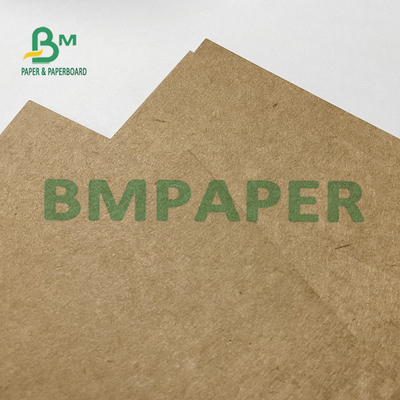 PE Coated Natural Kraft Heat Sealable Paper For Disposable Containers