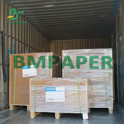 PE Coated Natural Kraft Heat Sealable Paper For Disposable Containers