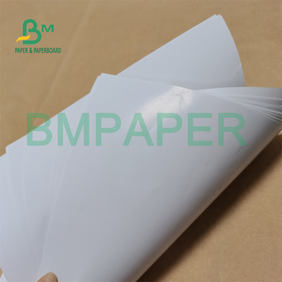 80g-400g High Whiteness Glossy Art Papel Board for Printing &amp; Crafts Box In Roll