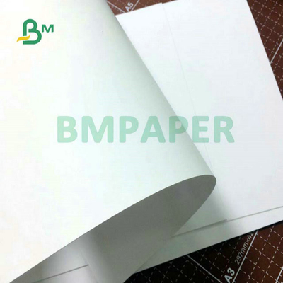 250gram 300gram Coated Single Sided SBS Board Paper With Excellent Printability 86cm