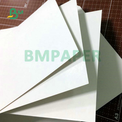 250gram 300gram Coated Single Sided SBS Board Paper With Excellent Printability 86cm