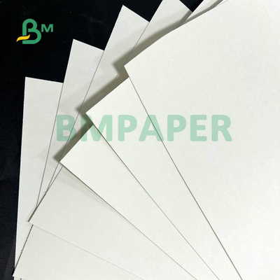 31 x 43&quot; 210gsm 230gsm 240gsm Waterproof CupStock Paper For Drinking Cups