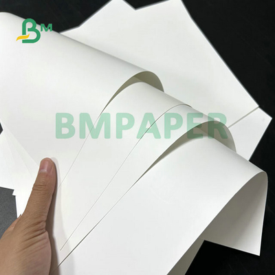 95mic  120mic 150mic A3 A4 Premium Backside Matte Never Tear Paper For Laser Printing