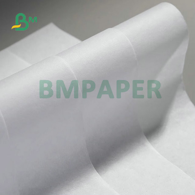 15gram - 19gram Uncoating Translucent Printable Tissue Paper Roll For Fruit Wrapping 1000mm 1100mm