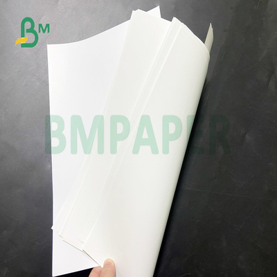 Rolls Packing Regular 787mm Glossy Art Paper for Children's Books