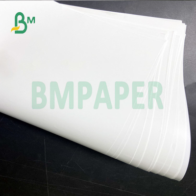 Rolls Packing Regular 787mm Glossy Art Paper for Children's Books