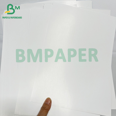 55lb Customizable Glossy or Matte Coated White Plain C2S Paper