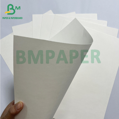 200g Waterproof Customized PE Coated White Cup Paper Raw Material