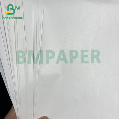 Uncoated Excellent Printing Performance 45 60 GSM MG Food Paper