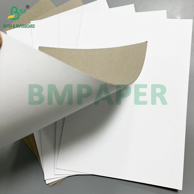 Good Printing Performance 1500gsm White Clay Duplex Board 700 × 1000 mm