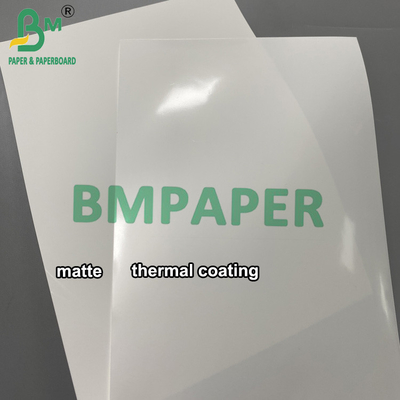 Thermal Synthetic Paper Jumbo Roll 1090mm*8000m Tear-Resistant Label Paper Material