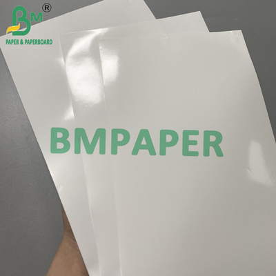 Thermal Synthetic Paper Jumbo Roll 1090mm*8000m Tear-Resistant Label Paper Material