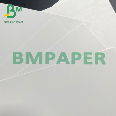 250gsm 350gsm Food Grade C1S Coated Paperboard For Frozen Packing