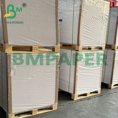 250gsm 350gsm Food Grade C1S Coated Paperboard For Frozen Packing