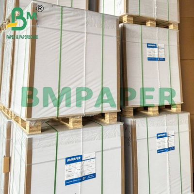 250gsm 350gsm Food Grade C1S Coated Paperboard For Frozen Packing