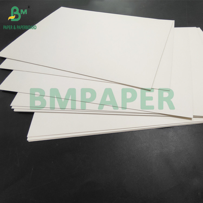 300gsm + 15g PE Coated Food Grade Paper For Lunch Containers 700 x 1000mm