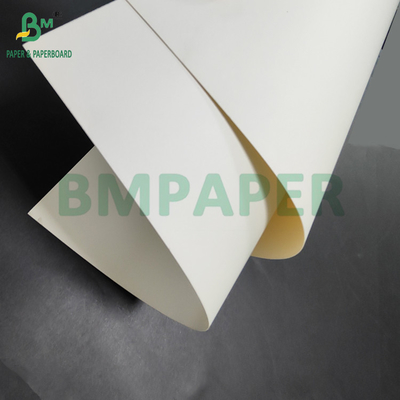 300gsm + 15g PE Coated Food Grade Paper For Lunch Containers 700 x 1000mm