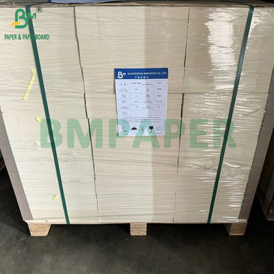300gsm + 15g PE Coated Food Grade Paper For Lunch Containers 700 x 1000mm