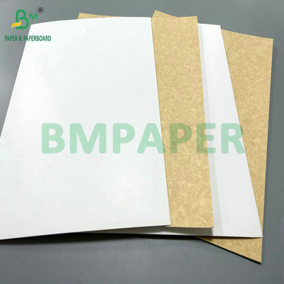 100% Food Safety 325gram 360gram Coated Recycled Paperboard For Making Lunch Box