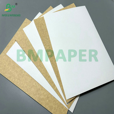 Good Strength 150 Gram To 400 Gram Natural Brown Kraft Paper Roll Or Sheet for Food Cup
