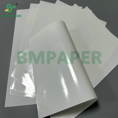 100% Waterproof Glossy 2 Side 100gram PE Coated Paper For Making Seed Package Bags