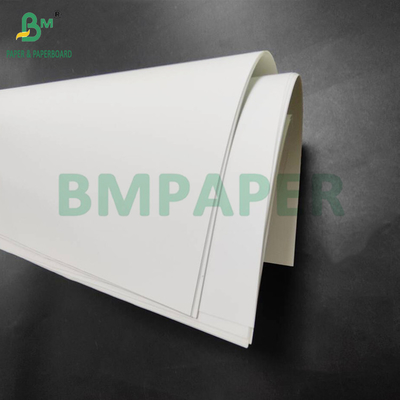 Heat Resistant 150um PET Synthetic Paper For Back - Lit Menus High Density