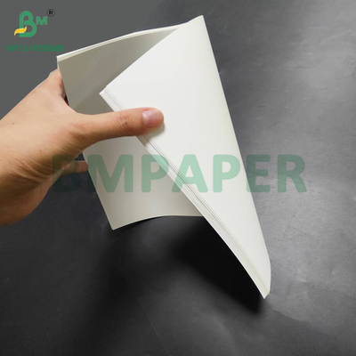 Heat Resistant 150um PET Synthetic Paper For Back - Lit Menus High Density