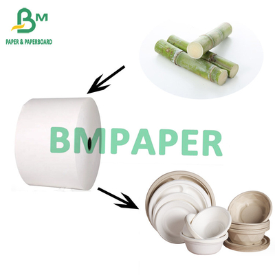 Biodegradable Food-Grade Sugarcane Paper For Disposable Plates 70gsm to 400gsm