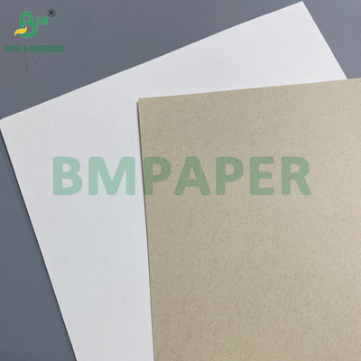 Biodegradable Food-Grade Sugarcane Paper For Disposable Plates 70gsm to 400gsm