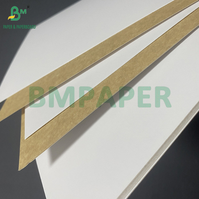 270gsm 300gsm Food Grade Coated White Top KLB Kraft Back Carrier Board 31&quot; 43&quot;