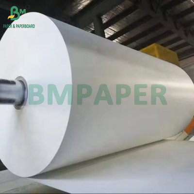 190gsm + 15g PE Coated Cupstock Paper Roll For Hot or Cold Beverage High Bulk