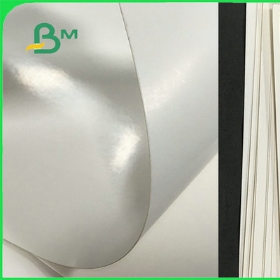 Food Grade PE Coated Folding Board In Roll For Making Paper Cup