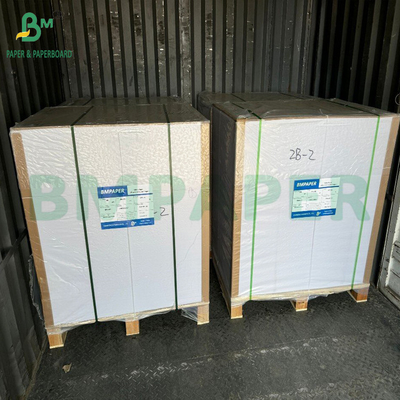Fully Pigment Coated Multilayer kraft back board 275gsm Top White