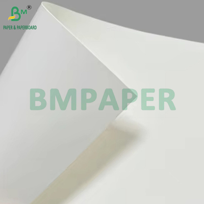 150gsm to 320gsm C1S PE Coated Cup Stock Paper Board For KFC Bowl 1020mm