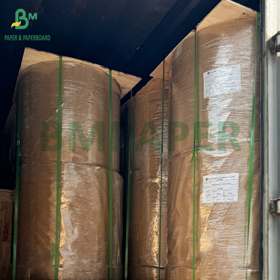 150gsm to 320gsm C1S PE Coated Cup Stock Paper Board For KFC Bowl 1020mm