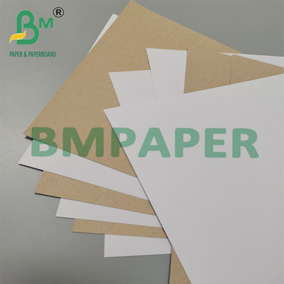 350g 79 x 109cm Coated Duplex Board With Back Grey For Pharmaceutical Packaging