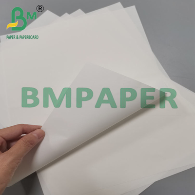 40g Tear Resistant Silicone Coated Greaseproof Paper 535mm Width