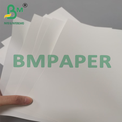 250um 260mm Heat Resistant Synthetic Brochure Paper