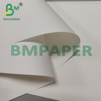 250um 260mm Heat Resistant Synthetic Brochure Paper