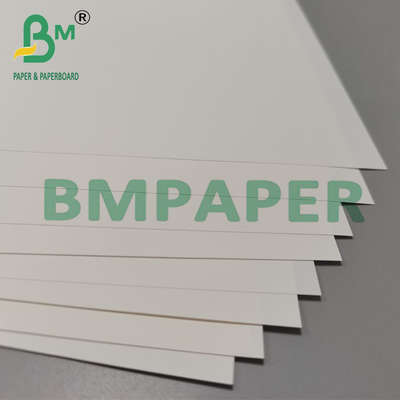 250um 260mm Heat Resistant Synthetic Brochure Paper