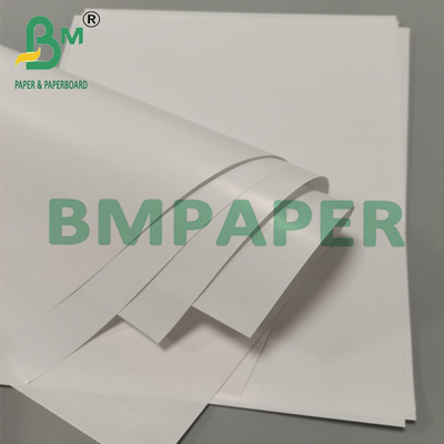 80g Biodegradable Leak Proof Cone Cup Packaging Paper Dessert Snack